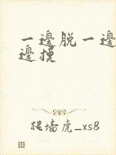 一边脱一边捅一边摸