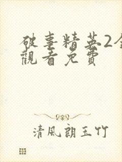 破事精英2全集观看免费