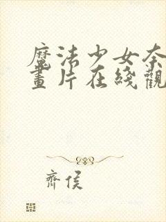 魔法少女奈叶动画片在线观看封面