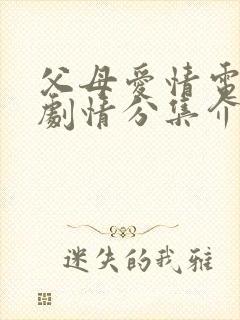 父母爱情电视剧剧情分集介绍全集