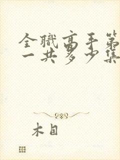 全职高手第一季一共多少集