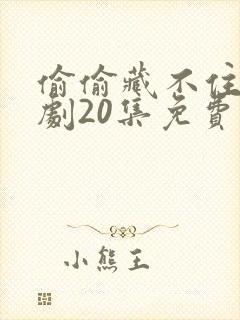 偷偷藏不住广播剧20集免费收听封面