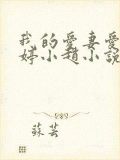 我的爱妻爱女小婷小赵小说免费阅读