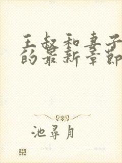 王叔和妻子小静的最新章节更新