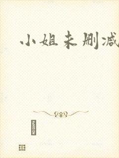 小姐未删减高清