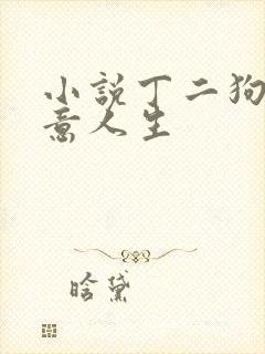 小说丁二狗的肆意人生
