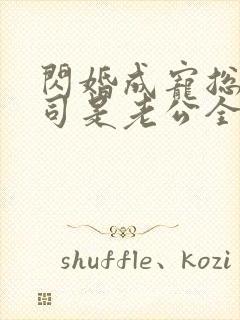 闪婚成宠总裁上司是老公全集