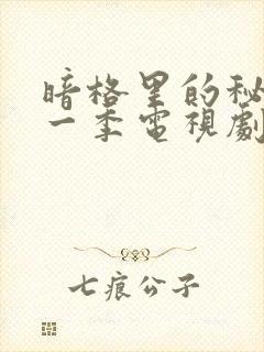 暗格里的秘密第一季电视剧免费观看封面