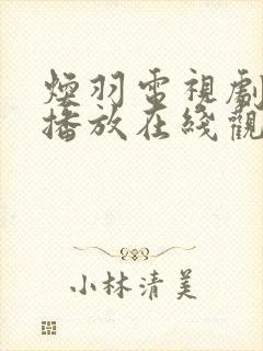 焕羽电视剧免费播放在线观看高清封面