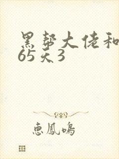 黑帮大佬和我365天3