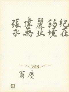 张伟丽的纪录片永无止境在线观看