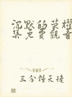 沉默的荣耀40集免费观看全集解说封面