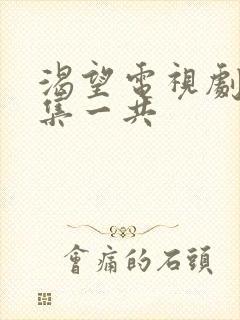 渴望电视剧多少集一共