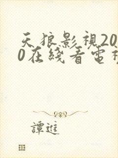 天狼影视2020在线看电视剧