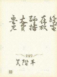 鲁大师在线观看免费播放电视剧软件