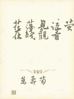 花落见流萤短剧在线观看