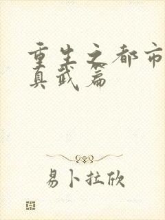 重生之都市修仙真武篇封面