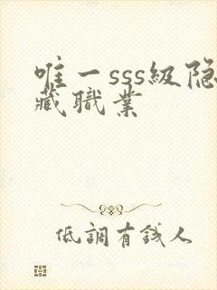 唯一sss级隐藏职业封面