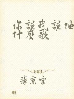 你说我说他说是什么歌