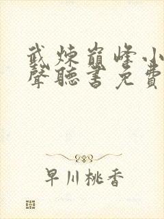 武炼巅峰小说有声听书免费