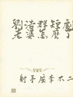 刘浩群短剧我怕老婆怎么了在线观看