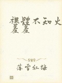 裸体不知火舞被羞羞