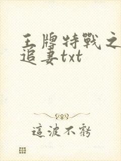 王牌特战之权少追妻txt
