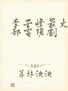 李子峰最火的三部电视剧封面