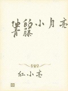 他的小月亮by青藤