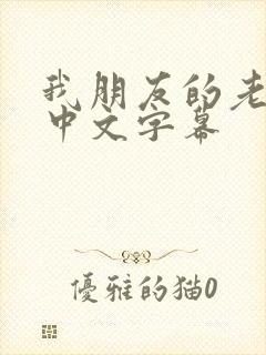 我朋友的老姐3中文字幕封面