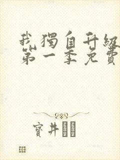 我独自升级动漫第一季免费封面