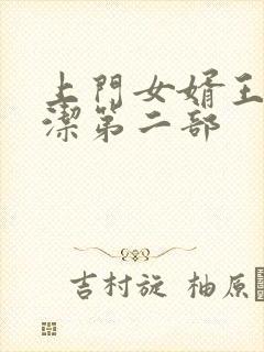 上门女婿王浩李洁第二部