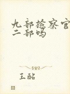 九部检察官有第二部吗