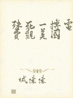 殊死一搏电影免费观美国封面