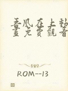 吾凰在上动态漫画免费观看