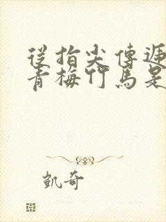 从指尖传递热情青梅竹马是消防员1季封面