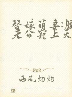 替嫁萌妻:腹黑老公宠上天