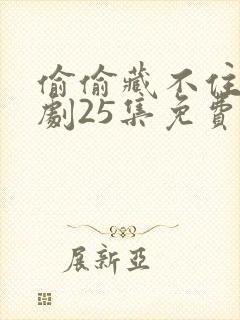 偷偷藏不住电视剧25集免费观看