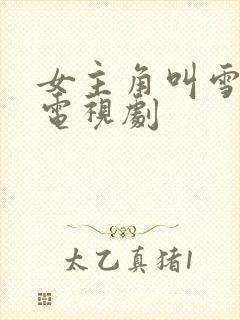 女主角叫雪姬的电视剧封面