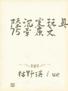 陆沉塞玩具高速75章原文