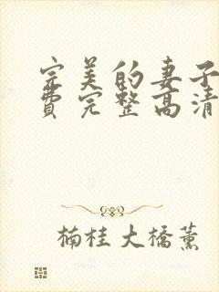 完美的妻子7免费完整高清电视剧看中