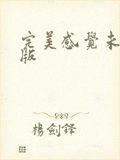 完美感觉未删减版