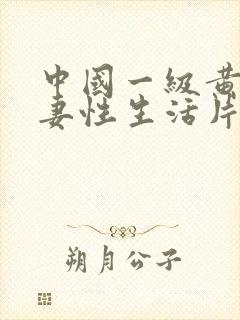 中国一级黄色夫妻性生活片