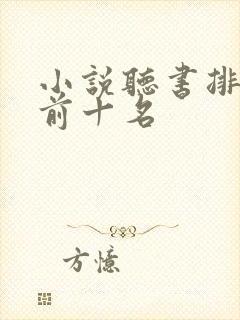 小说听书排行榜前十名封面