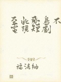 至此飞鸟不相逢电视短剧封面