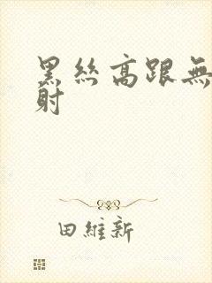 黑丝高跟无套内射