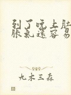 到了晚上肚子就胀气还容易放屁封面