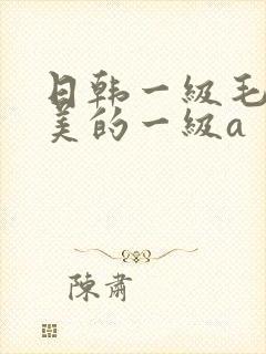 日韩一级毛一欧美的一级a封面