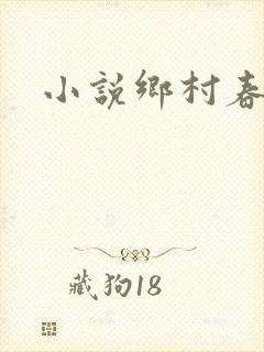 小说乡村春光封面