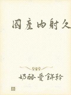 国产内射久久久封面
